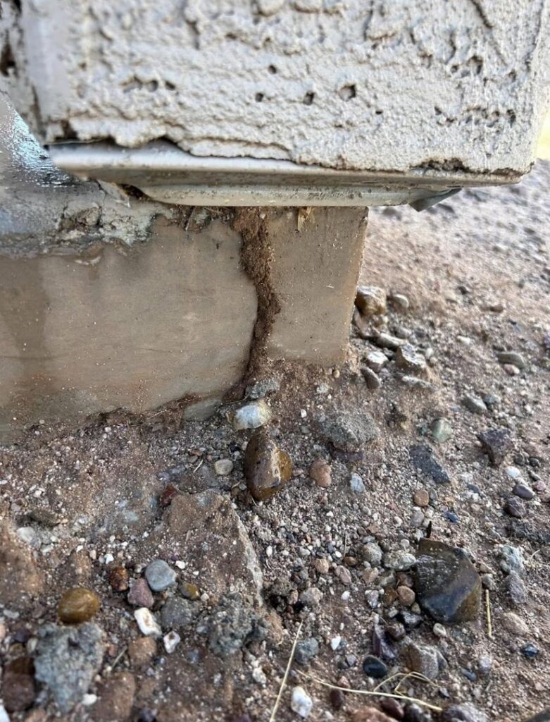 Evidence of termites with a mud tube visible on a concrete block, handled by Steadfast Pest Control in Queen Creek, AZ.