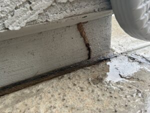 A close-up view of a termite mud tube on a concrete foundation, indicating a pest issue for Steadfast Pest Control in Queen Creek, AZ.