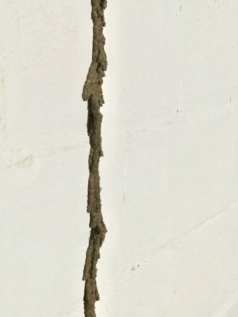 A visible termite mud tube on a white wall, indicating a termite infestation handled by Epcon Lane Pest Control in Akron, OH.
