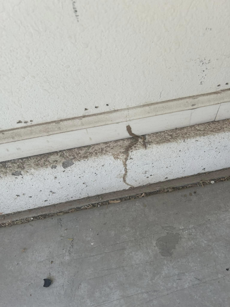 Termite mud tubes found along a baseboard and wall, showing pest activity addressed by Preferred Choice Pest Control in Surprise, AZ.