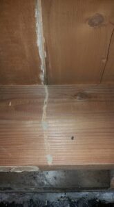 Termite mud tubes visible on a wooden beam, indicating active termite infestation for Berry & Yates Pest Control in Chicago, IL.