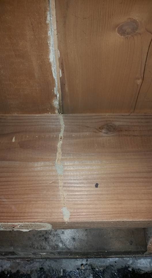 Termite mud tubes visible on a wooden beam, indicating active termite infestation for Berry & Yates Pest Control in Chicago, IL.