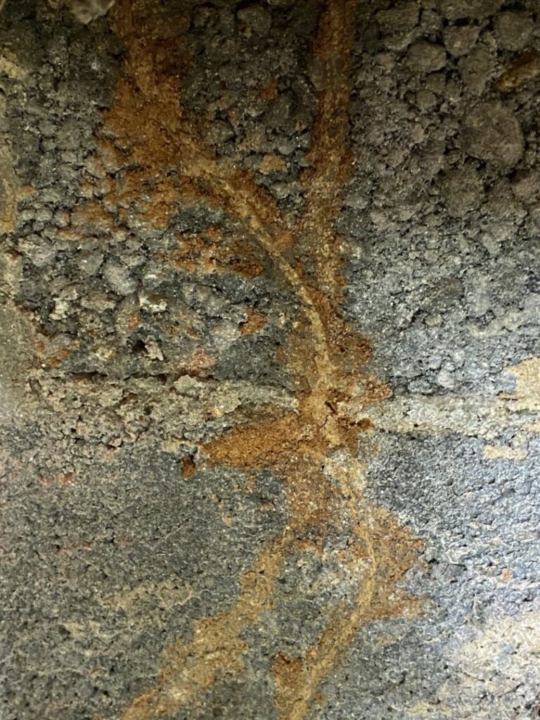 Close-up of termite mud tubes on a concrete foundation, indicating a pest infestation requiring Corsello & Son Pest Control Services in Atlanta, GA.