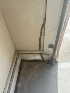 Termite mud tubes extending up a corner in a garage, indicating an infestation handled by Preferred Choice Pest Control in Surprise, AZ.