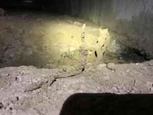 Termite mud tubes visible in a dark crawl space, indicating active pest infestation addressed by Innova Termite in San Jose, CA.