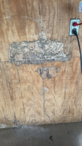 Termite mud tubes and damage visible near an electrical outlet, handled by Best Termite & Pest Control, Inc. in Manchester, KY.