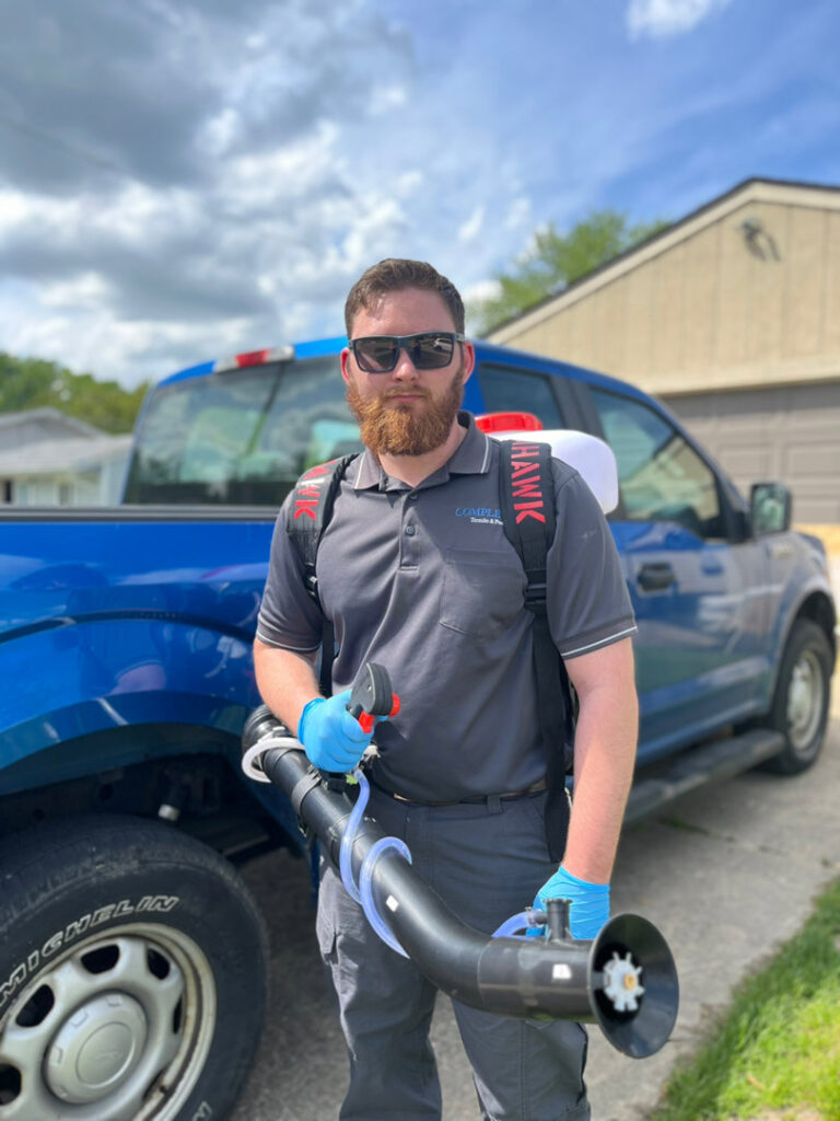 Termite mud tubes visible on a foundation wall, indicating activity for Complete Termite & Pest Control in Mason, OH.