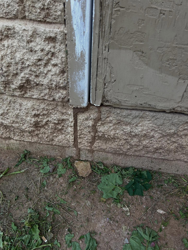 Termite mud tubes visible on a foundation wall, indicating an infestation handled by Preferred Choice Pest Control in Surprise, AZ.