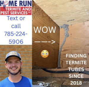 Evidence of termite mud tubes found during an inspection by Home Run Termite and Pest Services in Mayetta, KS.