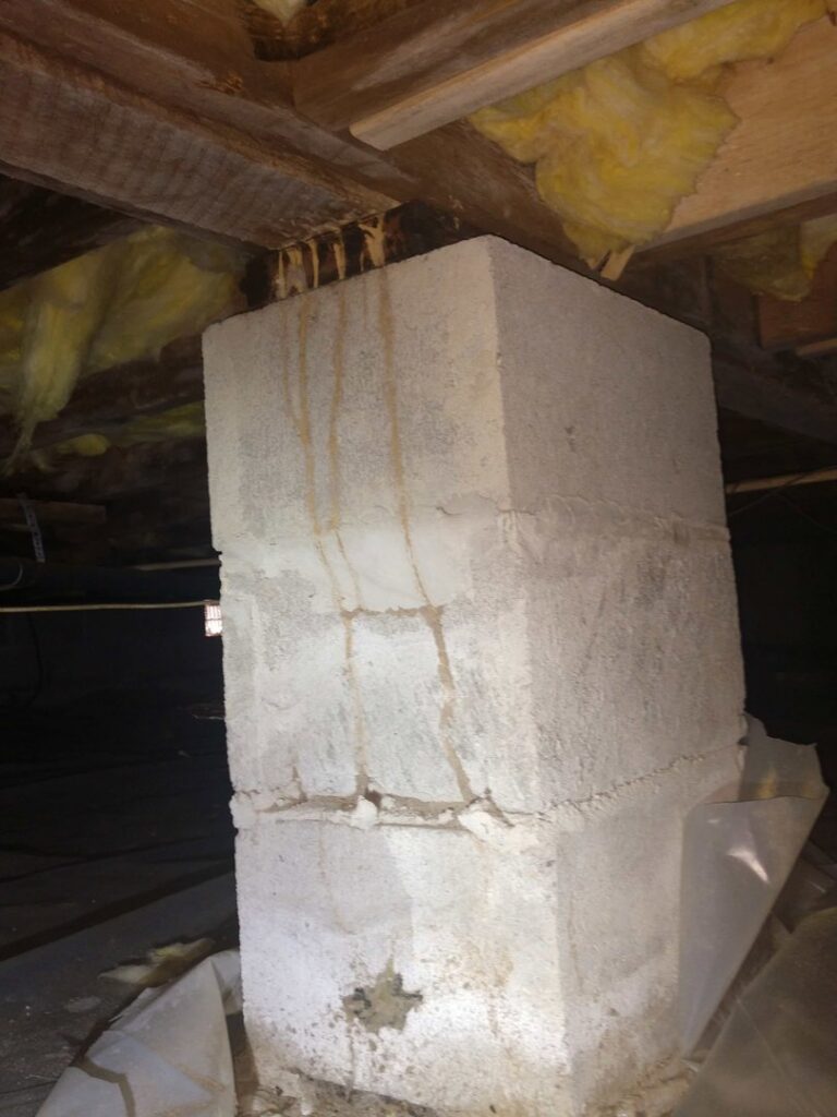 Termite mud tubes visible on a concrete block foundation, indicating an active infestation for Premier Pest Management in Yonkers, NY.