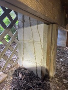 Termite mud tubes visible on a concrete block house foundation, indicating pest activity for Spartina Pest Management in Port Royal, SC.