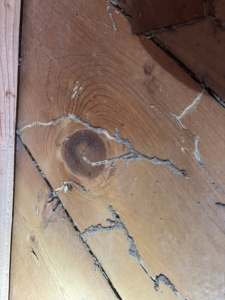 Termite mud tubes and trails visible on a wooden surface, indicating pest infestation managed by Endurance Pest Management LLC in Stillwater, OK.