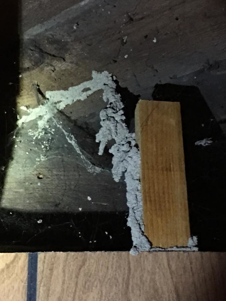 Termite mud tubes visible on a wooden beam, showing pest damage addressed by Affordable Pest Technicians in Services Available In.