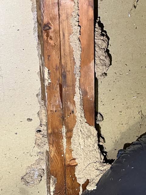 Termite mud tubes and damage visible on a wooden beam, indicating a pest control service by Pest by MD in Jersey City, NJ.