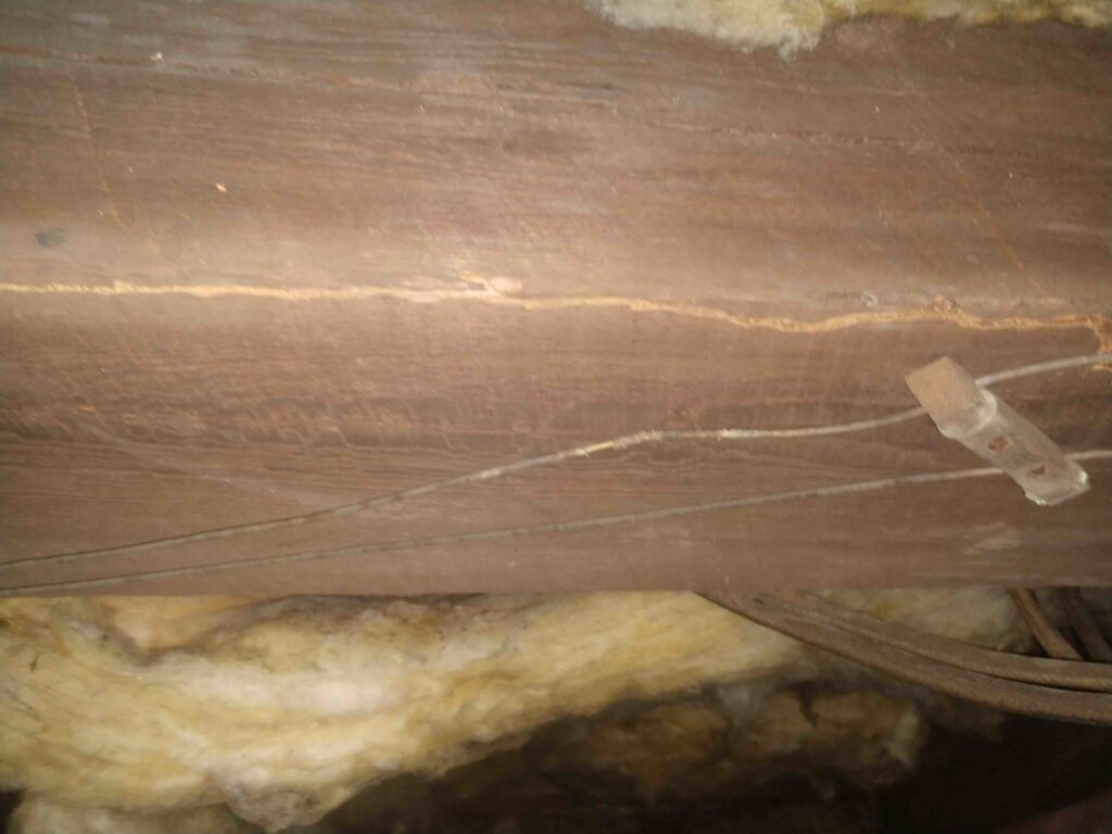 Termite mud tubes visible on a wooden beam, indicating an active infestation for Premier Pest Management in Yonkers, NY.