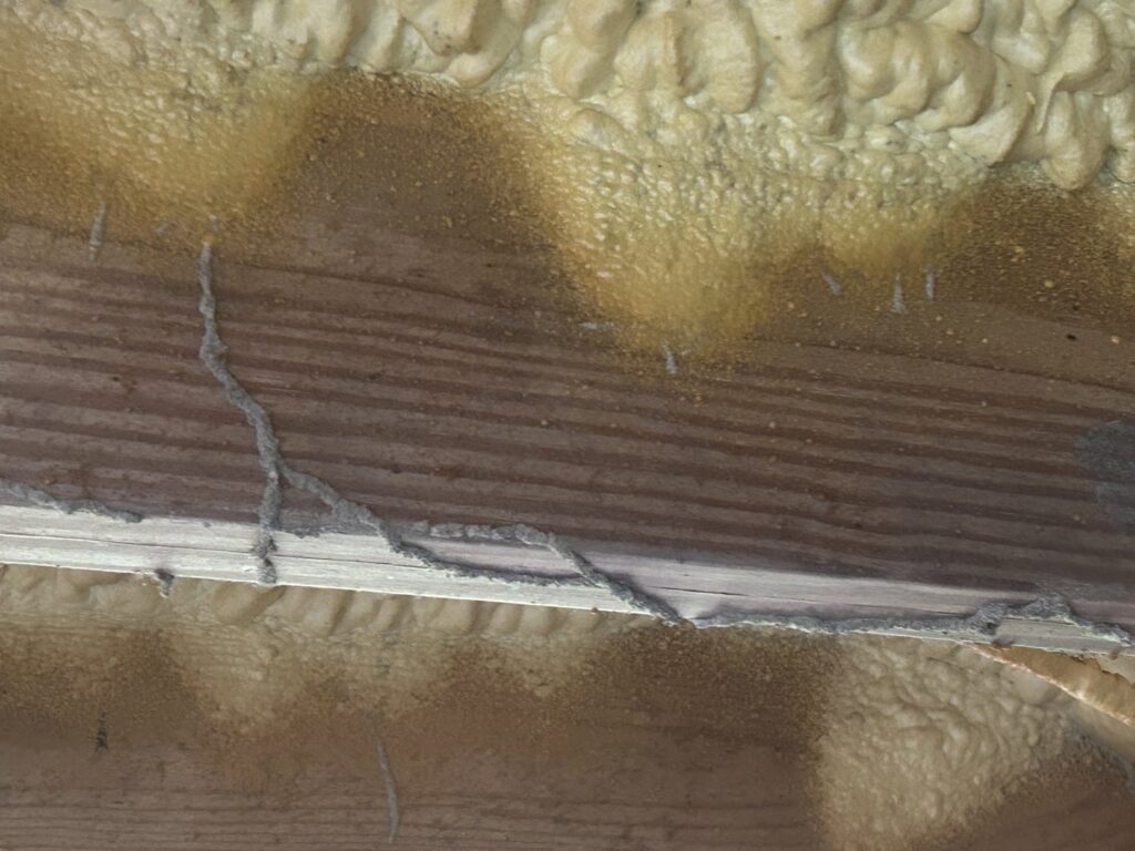 Termite mud tubes on a wooden support beam, showing active infestation for Spartina Pest Management in Port Royal, SC.