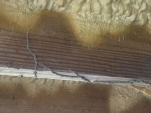 Termite mud tubes on a wooden support beam, showing active infestation for Spartina Pest Management in Port Royal, SC.
