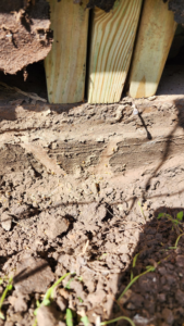 Termite mud tubes visible on the soil and base of wooden fence posts, indicating active termite infestation handled by Before and After Pest Control in Kenner, LA.