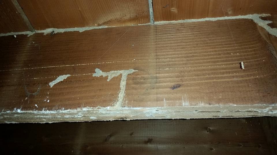 Extensive termite mud tubes on a wooden structure, showing a serious infestation addressed by Berry & Yates Pest Control in Chicago, IL.