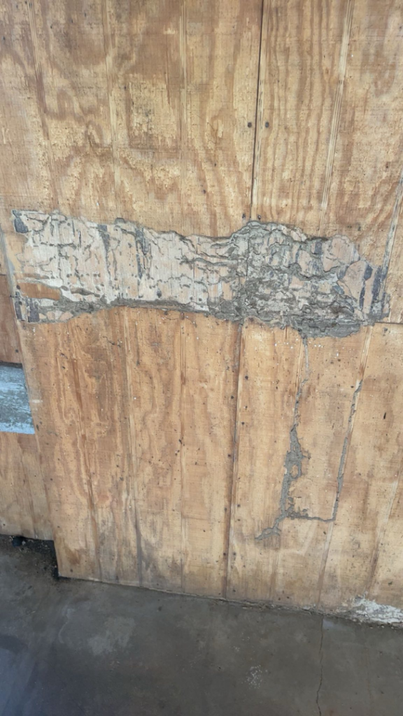Termite mud tubes visible on a wooden wall, indicating infestation handled by Best Termite & Pest Control, Inc. in Manchester, KY.