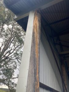 Visible termite mudding and trails on a wooden support post of an outdoor shed, indicating pest activity for Stewarts Pest Control Perth, WA.
