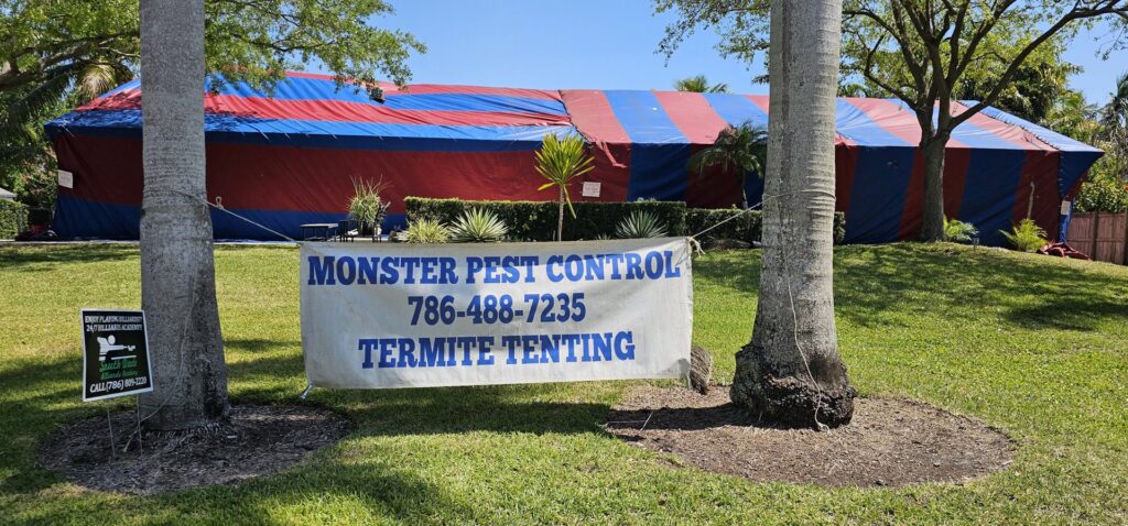 A house tented for termite treatment with a Monster Pest Control banner visible in Miami, FL.