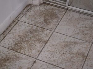 Termite wings and frass scattered on a tiled floor, indicating a pest infestation addressed by Globe Pest Inc in Miami, FL.