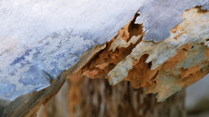 Close-up of severe termite wood damage, indicating a pest control job by Hub City Pest Control in Jackson, TN