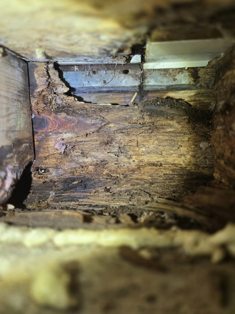 Severe termite or wood-destroying insect damage discovered during an inspection by Pest Express LLC in Rochester, NY