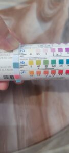 A hand holding a test strip to check pool water chemistry levels for Pinch A Penny Pool Patio Spa in Mobile, AL.