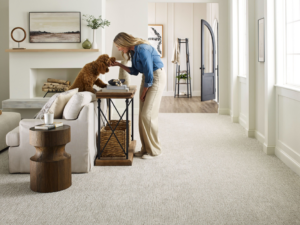 A modern living room featuring a new textured grey carpet installation by Carpet Innovations in Lakewood, CO, with a woman and her dog.
