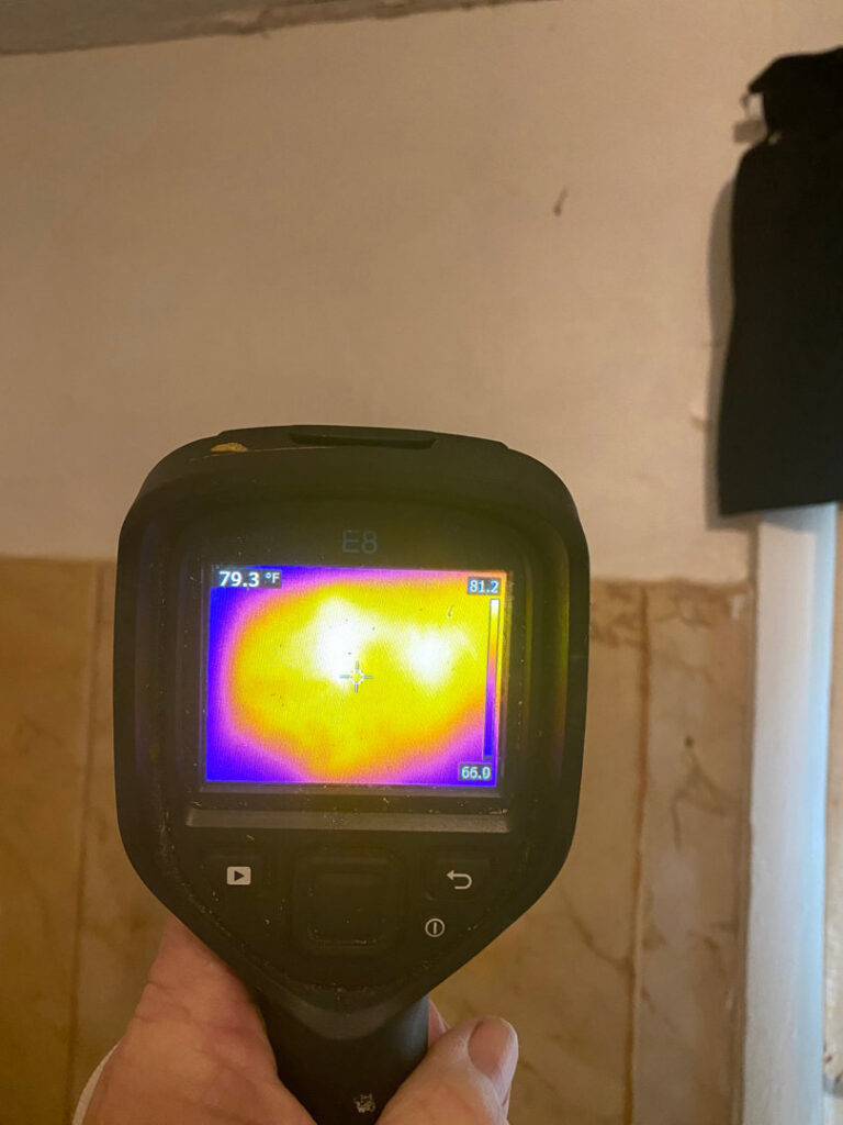 A thermal imaging camera being used to locate a hidden bee hive by Dale Richter's The Buzz Fuzz in Leesburg, GA