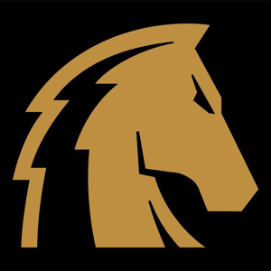 Thundercolt Electric