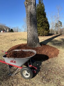 A Total Lawn crew member using a leaf blower to clear leaves from a residential lawn in Lawrence, KS