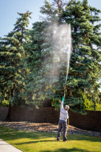 A Signature Lawn & TreeMasters expert applying pest treatment spray to a tall evergreen tree in Fort Wayne, IN.