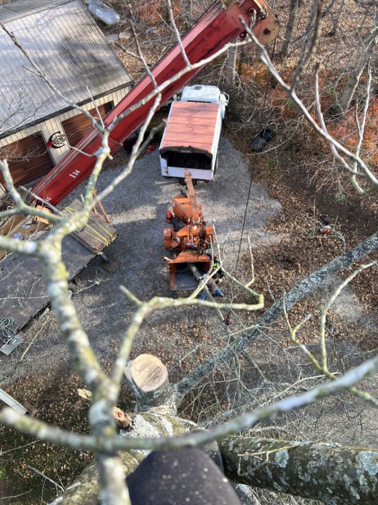 An aerial view of a tree removal site with a crane, wood chipper, and ground crew from Peek Lawn Care LLC in Windy Hills, KY.