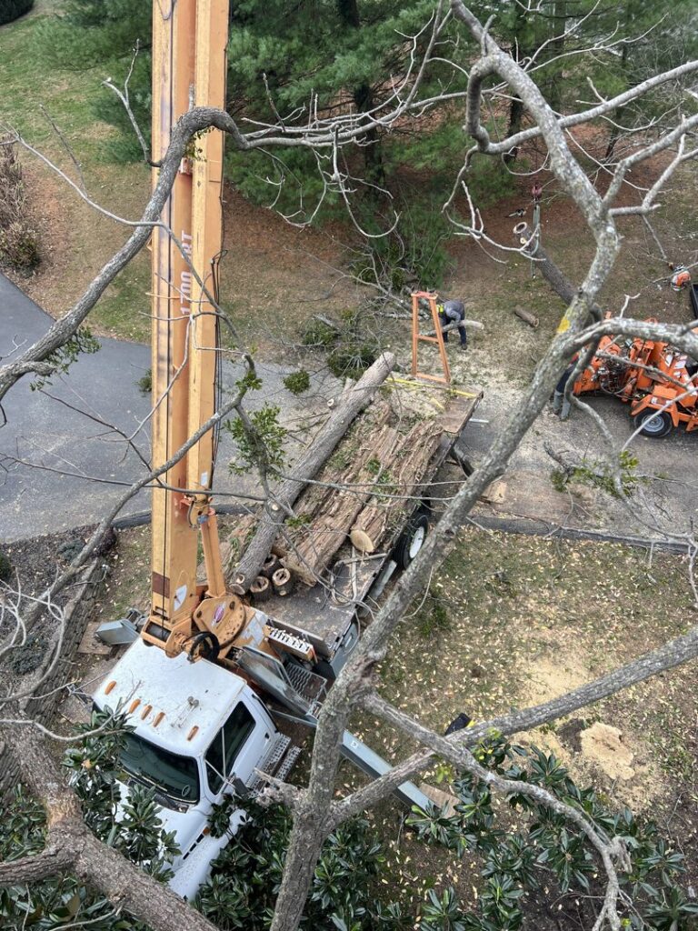 An aerial view of a tree removal operation with a truck loaded with logs and a crane by Peek Lawn Care LLC in Windy Hills, KY.