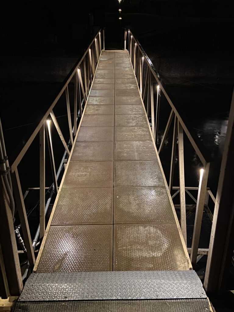 Outdoor seating area with trees beautifully illuminated by uplighting installed by Get Lit KC & LOZ in Kansas City, KS.