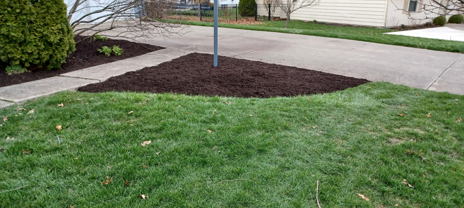A neatly mulched triangular landscape bed in a lawn by VKDYS Lawn Care in Fort Wayne, IN.