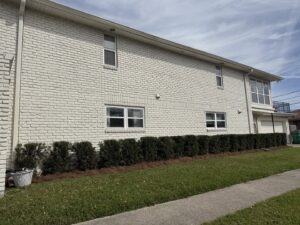 A long row of neatly trimmed hedges with fresh pine straw mulch along a white brick building by God's Sight Lawn & Gardens LLC in New Orleans, LA