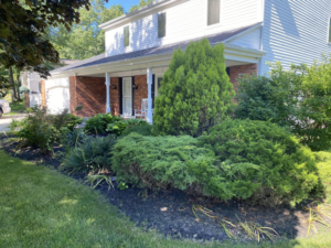 Trimmed shrubs and fresh mulch in a front yard by Sonner And Sons Lawncare in Fort Wayne, IN.
