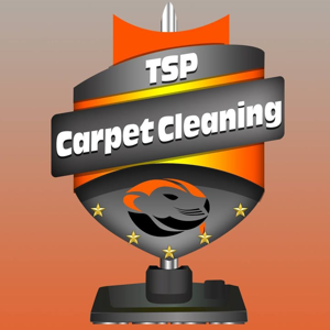 TSP cleaning services llc