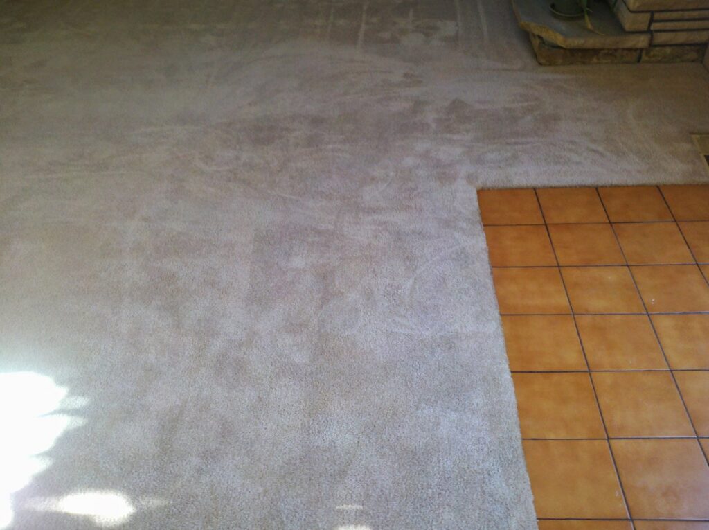 The United Carpet Cleaning logo and an American flag pattern cleaned into a carpet in Taylorsville, UT.