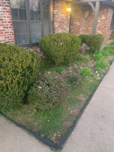 An untidy flower bed with overgrown bushes and weeds, showing a 'before' view for landscaping services from Lande Lawn Care in Broken Arrow, OK.
