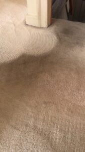 Before and after comparison of an upholstered armchair cleaning by Fiber Care Solutions in Whitinsville, MA.