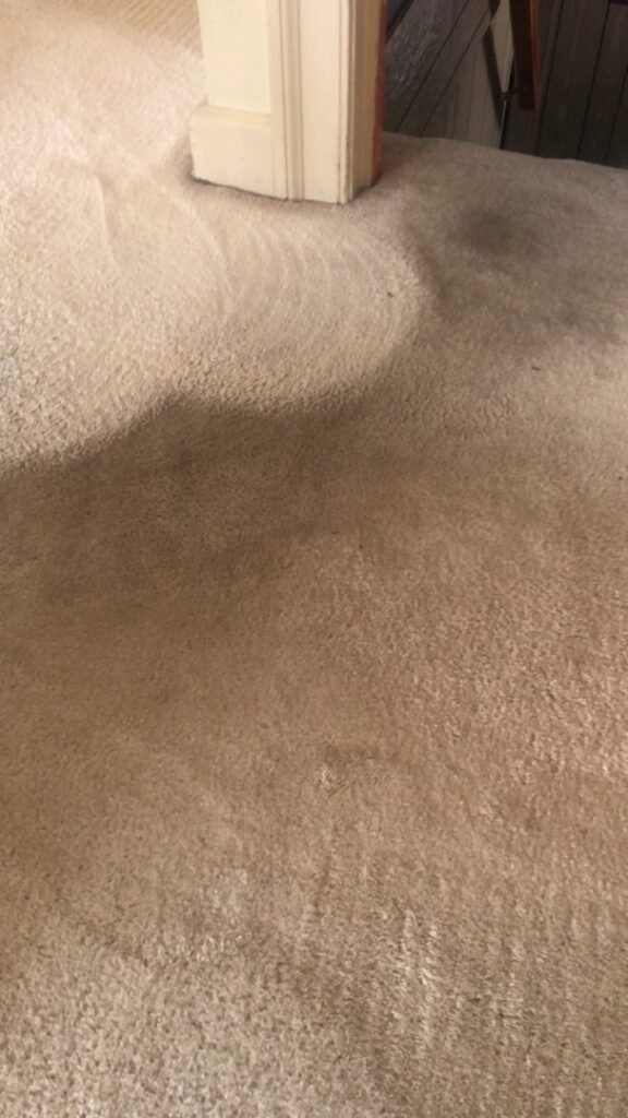 Before and after comparison of an upholstered armchair cleaning by Fiber Care Solutions in Whitinsville, MA.