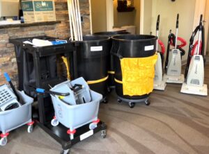 A professional performing upholstery cleaning on a patterned chair for Alpha Clean in Fort Wayne, IN.