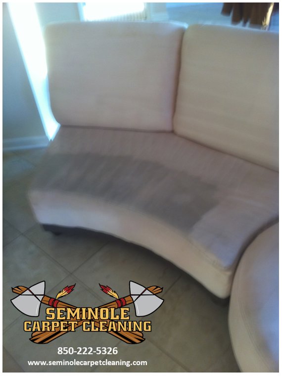 Upholstery cleaning on a curved sofa, showing cleaned and uncleaned sections, by Seminole Carpet Cleaning in Tallahassee, FL