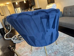 Professional upholstery cleaning equipment set up with a blue velvet chair and area rug, by Carpet Cleaners Plus in Chicago, IL.