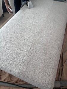 Professional upholstery cleaning on a sofa cushion by Stanley Steemer in Azusa, CA.
